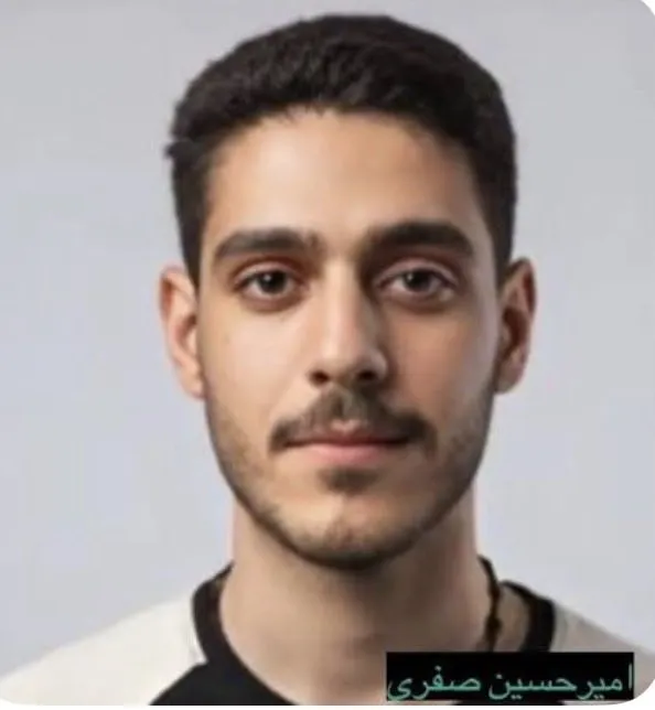 Amirhossein Safari