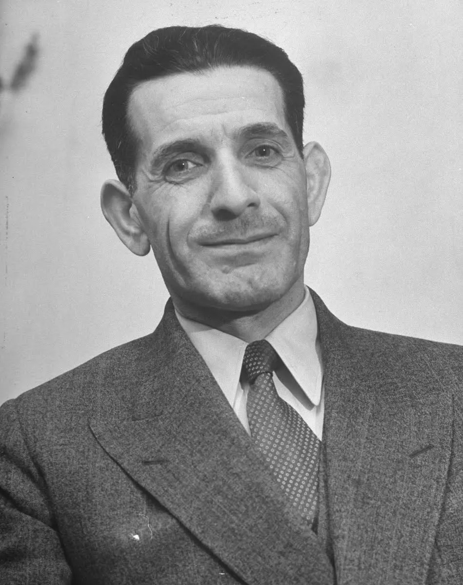 Hajali Razmara